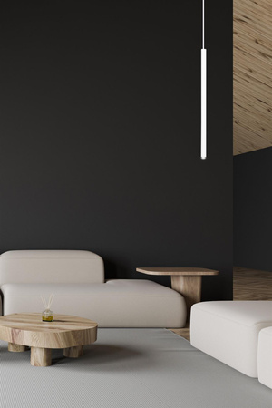 SELTER 1 WHITE 553/1 designerski spot wiszący halogen punktowy tuba biała długa